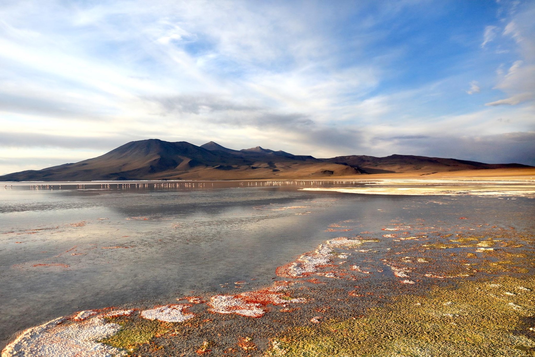 Bolivia