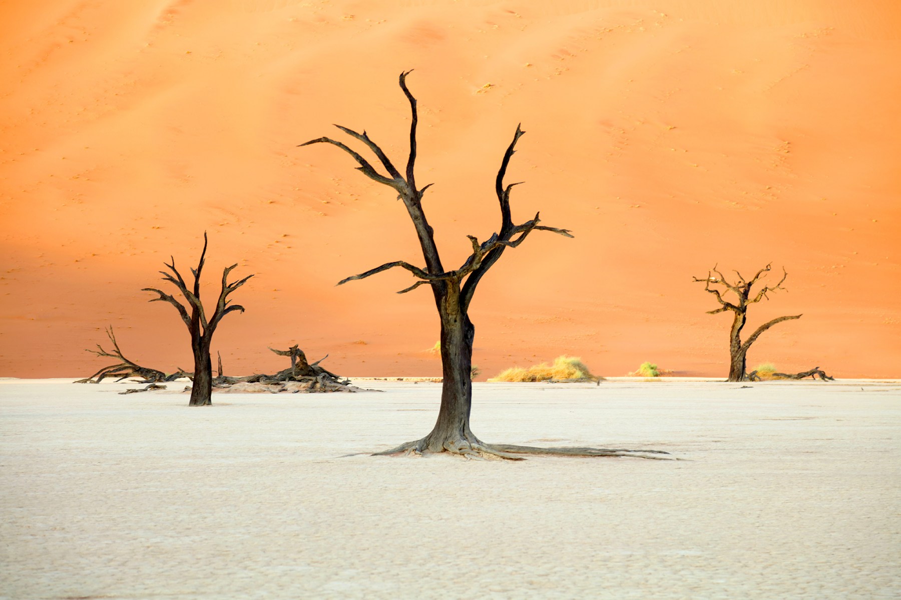 Dead Vlei, Namibia