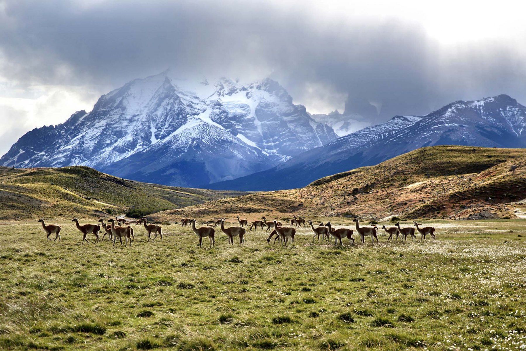 Patagonia